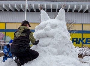 db63 lumi ilves vihreät