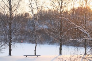 Hangastenmäki012016