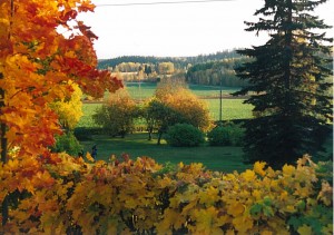 Kirkonmäeltä syksyllä