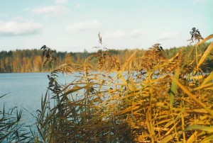 Lastujärveltä syksyllä