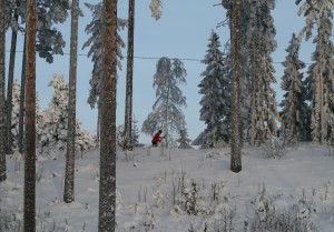 hiihtäjä Konttilan ladulla012010