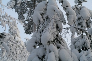 lumikuva Konttila012010 – Kopio