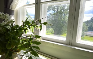 WP_20170627_15_08_45_Pro