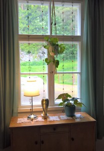 WP_20170627_16_01_26_Pro