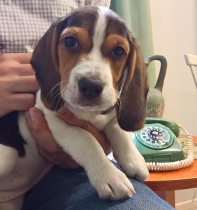 WP_20170627_16_05_23_Pro